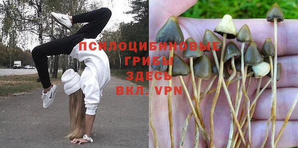 ALPHA-PVP Верея