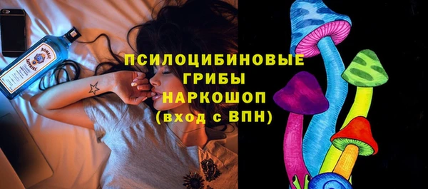 сатива Верхнеуральск