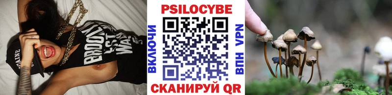 хочу   мега ссылка  Галлюциногенные грибы Psilocybe  Новороссийск 